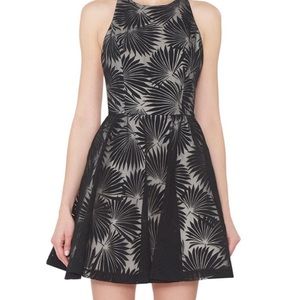Alice + Olivia Tevin Racerback Palm Mini Dress, White/Black